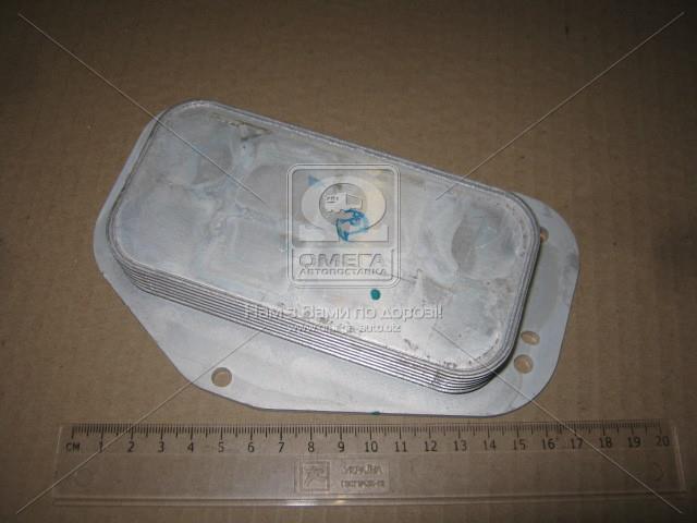 37013702 VAN WEZEL